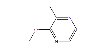 2-Methoxy-3-methylpyrazine