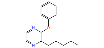 2-Pentyl-3-phenoxypyrazine