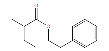 Propionate ion
