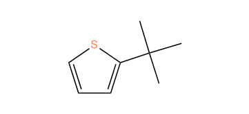2-tert-Butylthiophene
eptane