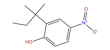 2-tert-Pentyl-4-nitrophenol