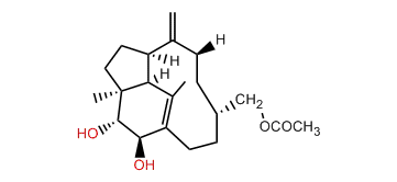 20-Acetoxy-2beta,3alpha-dihydroxy-1(15),8(19)-trinervitadiene