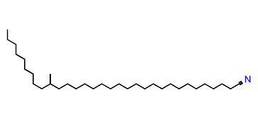 22-Methylhentriacontyl cyanide