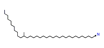 22-Methyltritriacontyl cyanide