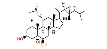 (24R)-11a-Acetoxy-gorgost-3b,5a,6b-triol