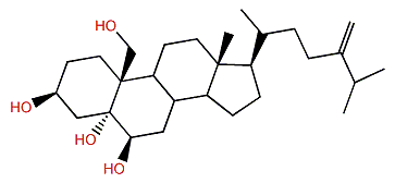 24-Methylcholesta-24(28)-ene-3b,5a,6b,19-tetrol