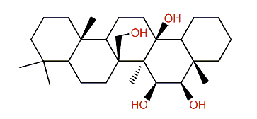 29,30-Dinor-13,15,16,26-oleananetetrol