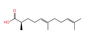 (2R,5E)-2,6,10-Trimethyl-5,9-undecadienoic acid