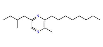 2-Methyl-5-(2-methylbutyl)-3-octylpyrazine