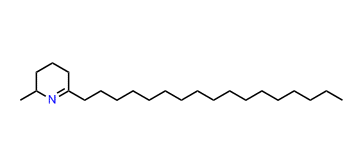 2-Methyl-6-heptadecyl-6-piperidene