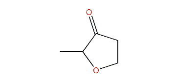 2-Methyldihydro-3(H)-furanone