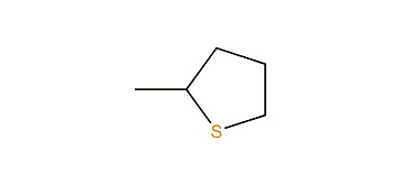 2-Methylthiacyclopentane