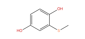 2-(Methylthio)benzene-1,4-diol