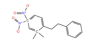 2,2-Dimethyl-4,4-dinitro-bibenzyl