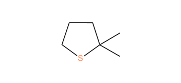 2,2-Dimethylthiacyclopentane
