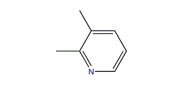 2,3-Dimethylpyridine