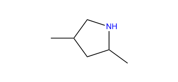 2,4-Dimethylpyrrolidine
