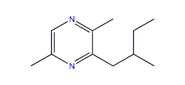 2,5-Dimethyl-3-(2-methylbutyl)-pyrazine