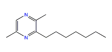 2,5-Dimethyl-3-heptylpyrazine