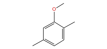 2-Methoxy-1,4-dimethylbenzene