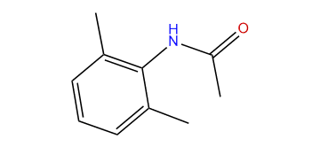 N-(2,6-Dimethylphenyl)-acetamide