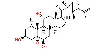 3(24R)-Gorgost-25-en-3b,5a,6b,11a-tetraol