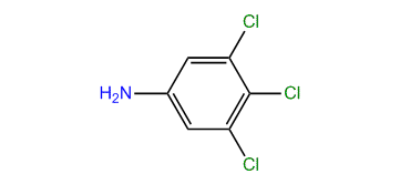 3,4,5-Trichlorobenzenamine