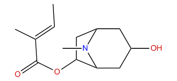 3-Hydroxy-6-tigloyloxytropane