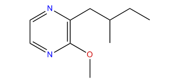 3-Methoxy-2-(2-methylbutyl)-pyrazine