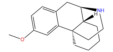 3-Methoxymorphinan
