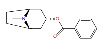 3alpha-Benzoyloxytropane