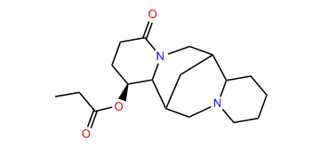 3beta-Propanyloxylupanine