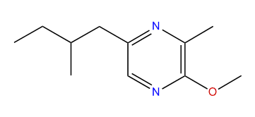 3-Methyl-2-methoxy-5-(2-methylbutyl)-pyrazine