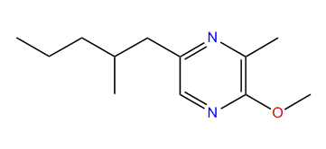 3-Methyl-2-methoxy-5-(2-methylpentyl)-pyrazine