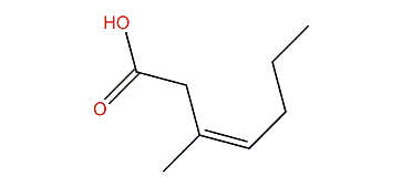 (Z)-3-Methyl-3-heptenoic acid