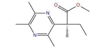(3,5,6-Trimethylpyrazin-2-yl)-methyl (S)-2-methylbutanoate