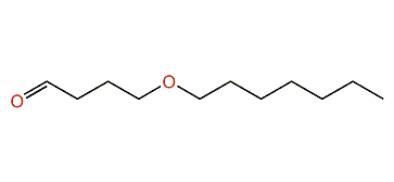 4-(Heptyloxy)-butanal