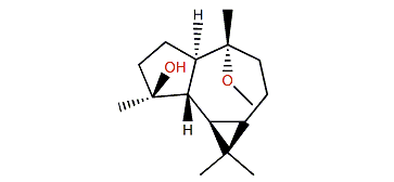4b,10a-Aromadendranediol-10-methylether