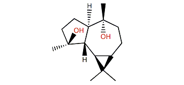 4b,10a-Aromadendranediol
