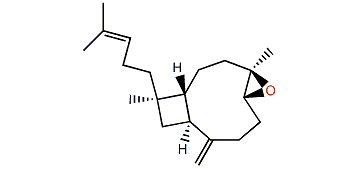 4b,5b-Epoxy-8(19),14-xeniaphylladiene