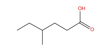 4-Methylhexanoic acid