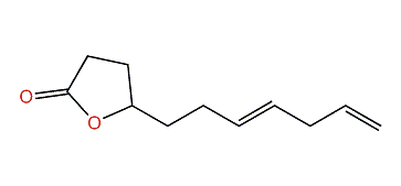 (E)-5-(3,6-Heptadienyl)-dihydro-2(3H)-furanone