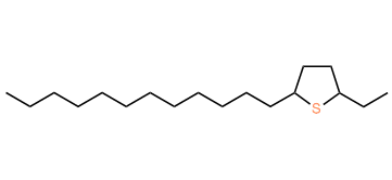 5-Dodecyl-5-ethylthiophene