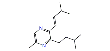 (E)-5-Methyl-3-isopentyl-2-(3-methylbut-1-enyl)-pyrazine