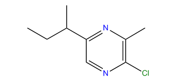 5-sec-Butyl-2-chloro-3-methylpyrazine
