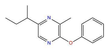 5-sec-Butyl-3-methyl-2-phenoxypyrazine