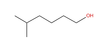 5-Methylhexan-1-ol