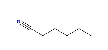 5-Methylhexanenitrile