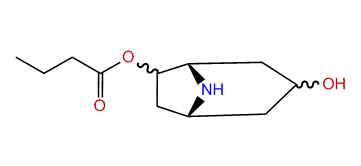 6-Butyroxynortropan-3-ol