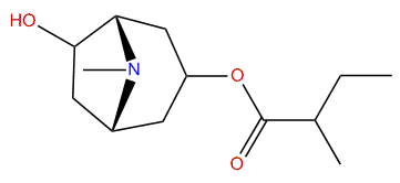 6-Hydroxy-3-(2-methylbutyroxy)-tropane